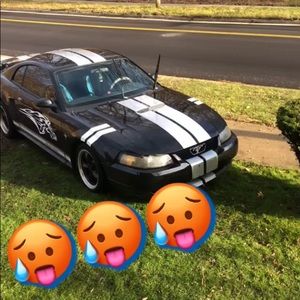 Meet your Posher, Cody